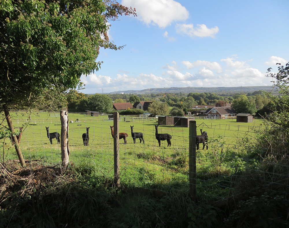 Within-10-Miles-of-Bath