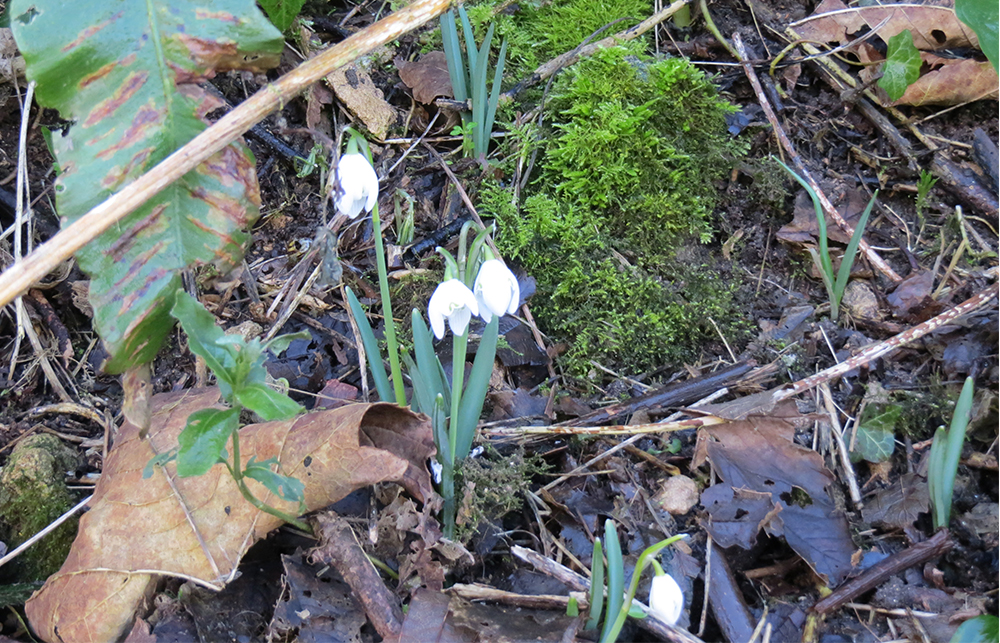 Within-10-Miles-of-Bath