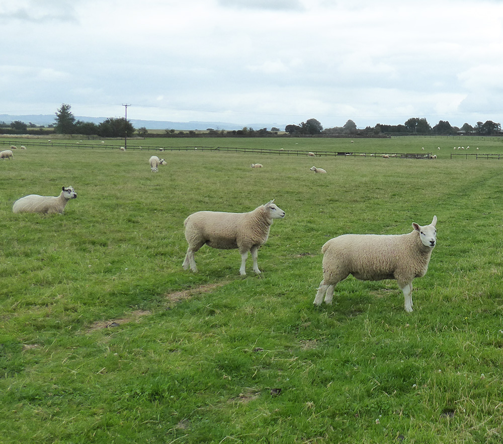 Within-10-Miles-of-Bath