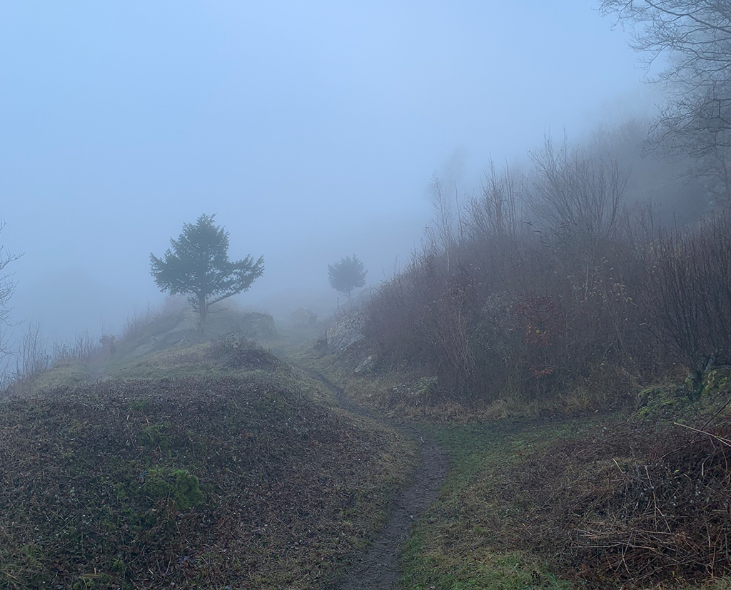 Foggy pre-walk