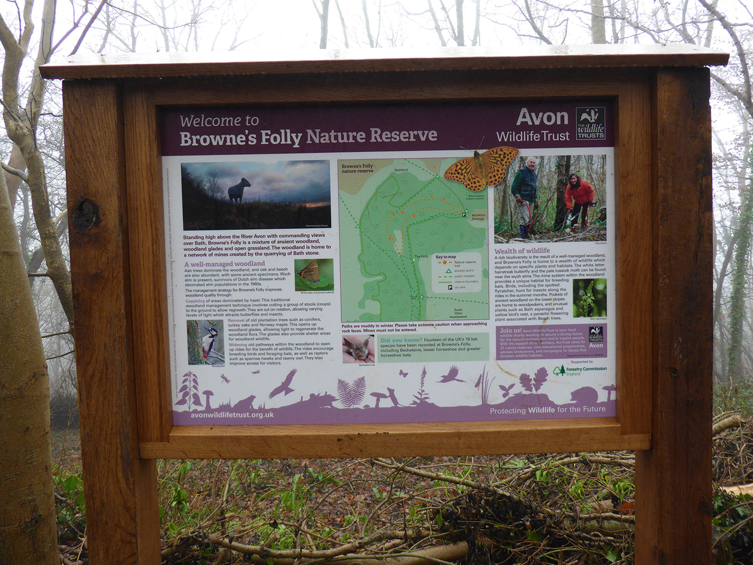 Within-5-Miles-of-Bath