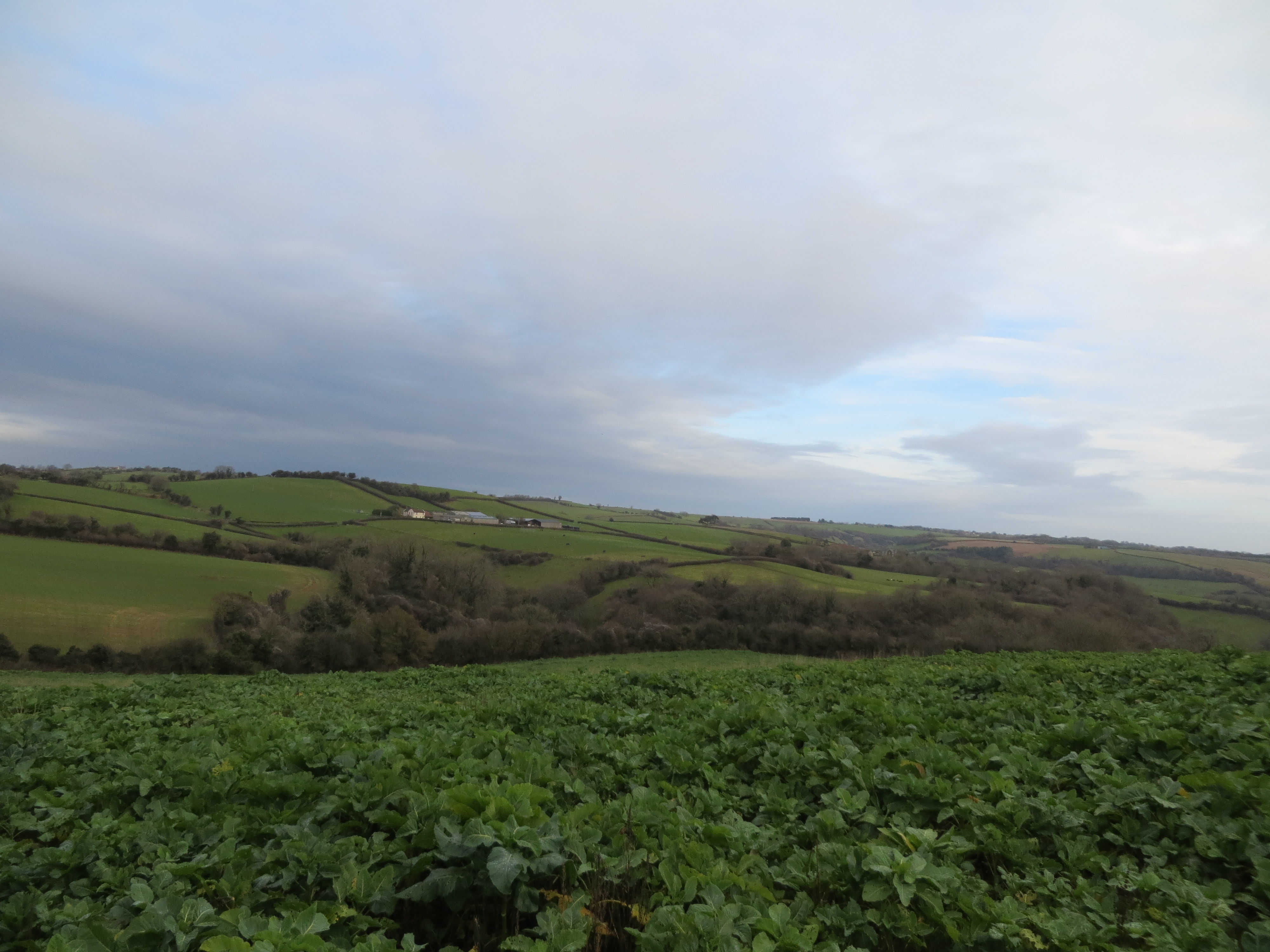 Within-5-Miles-of-Bath