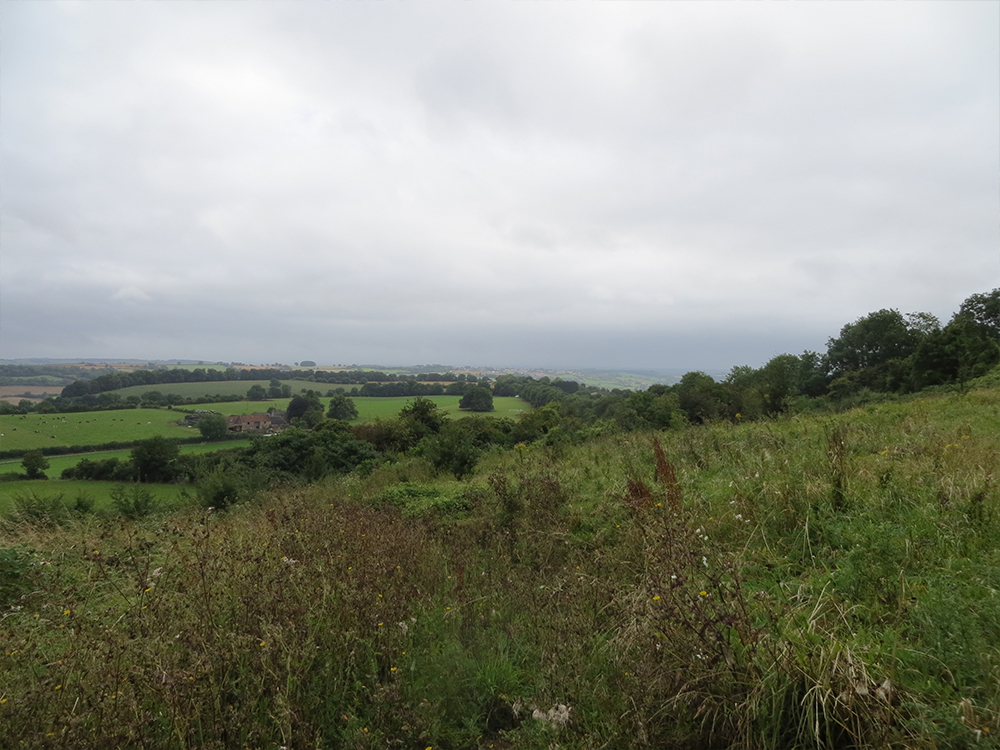 Within-5-Miles-of-Bath