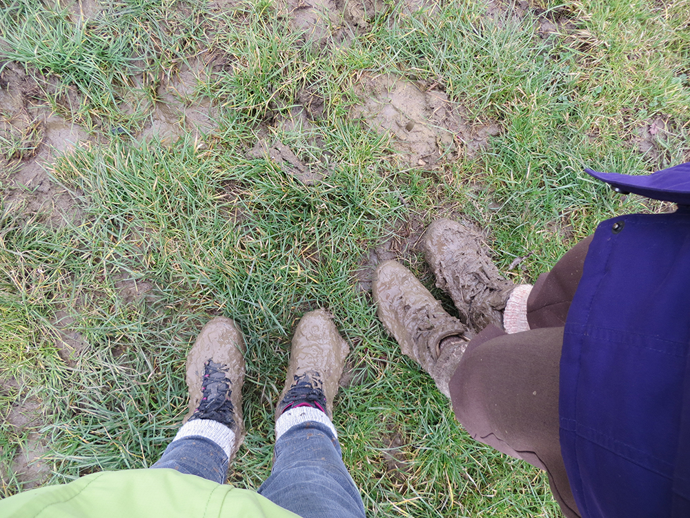 Within-10-Miles-of-Bath