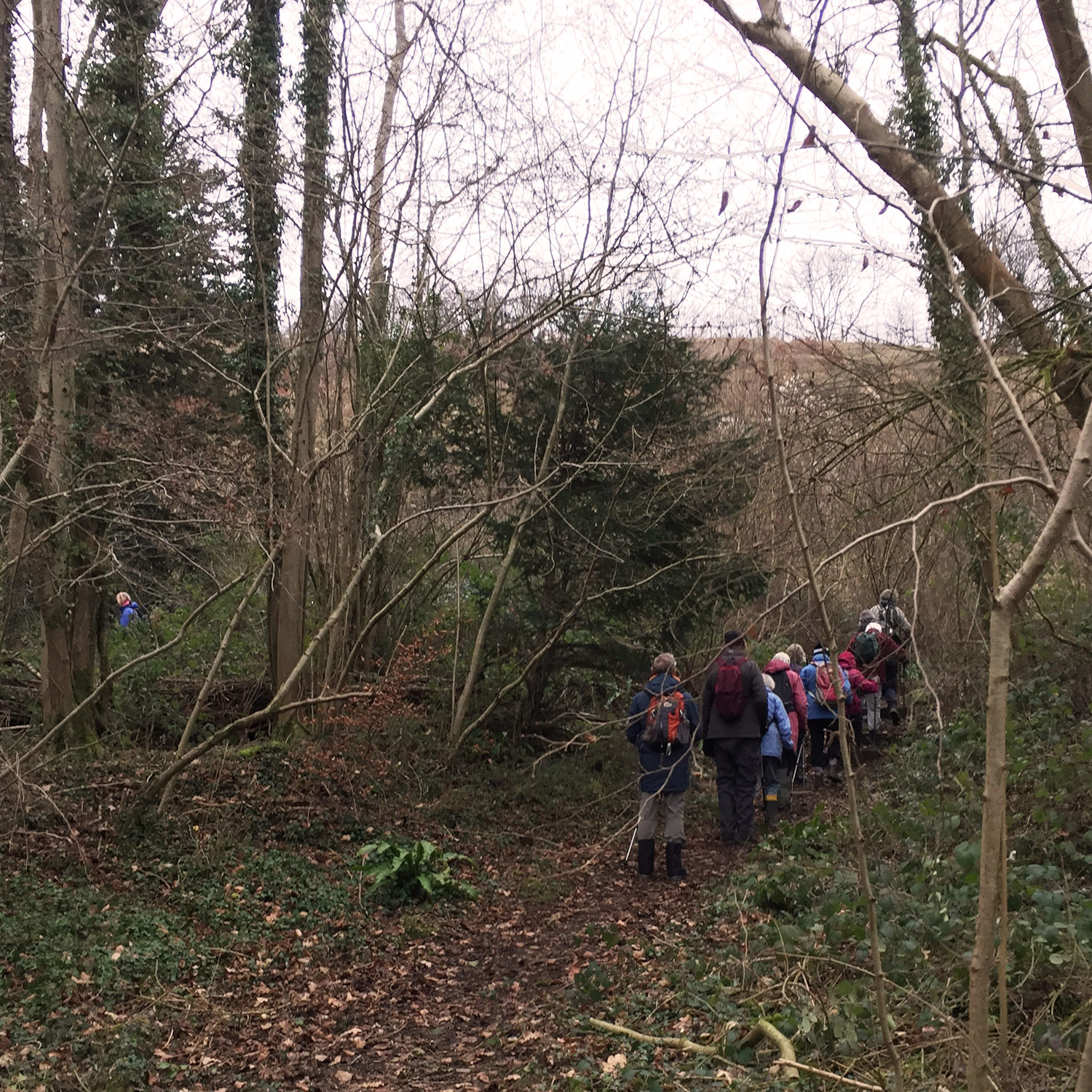 Within-5-Miles-of-Bath