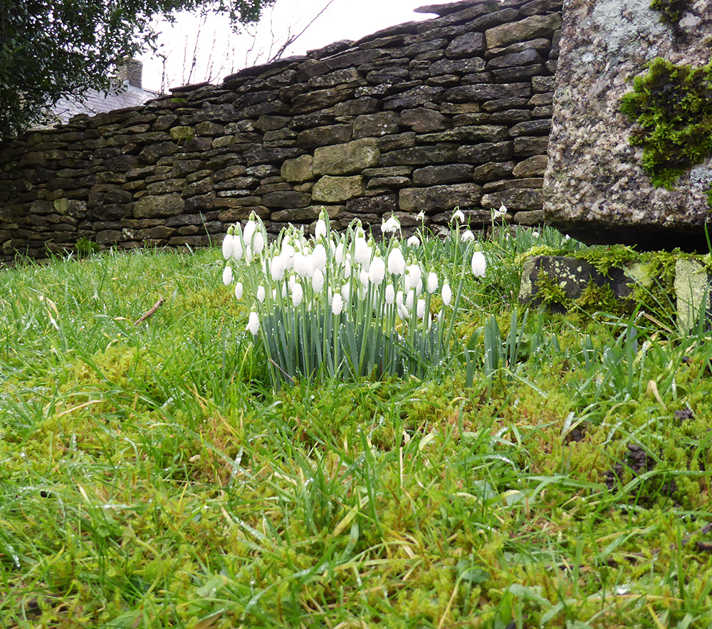 Within-10-Miles-of-Bath