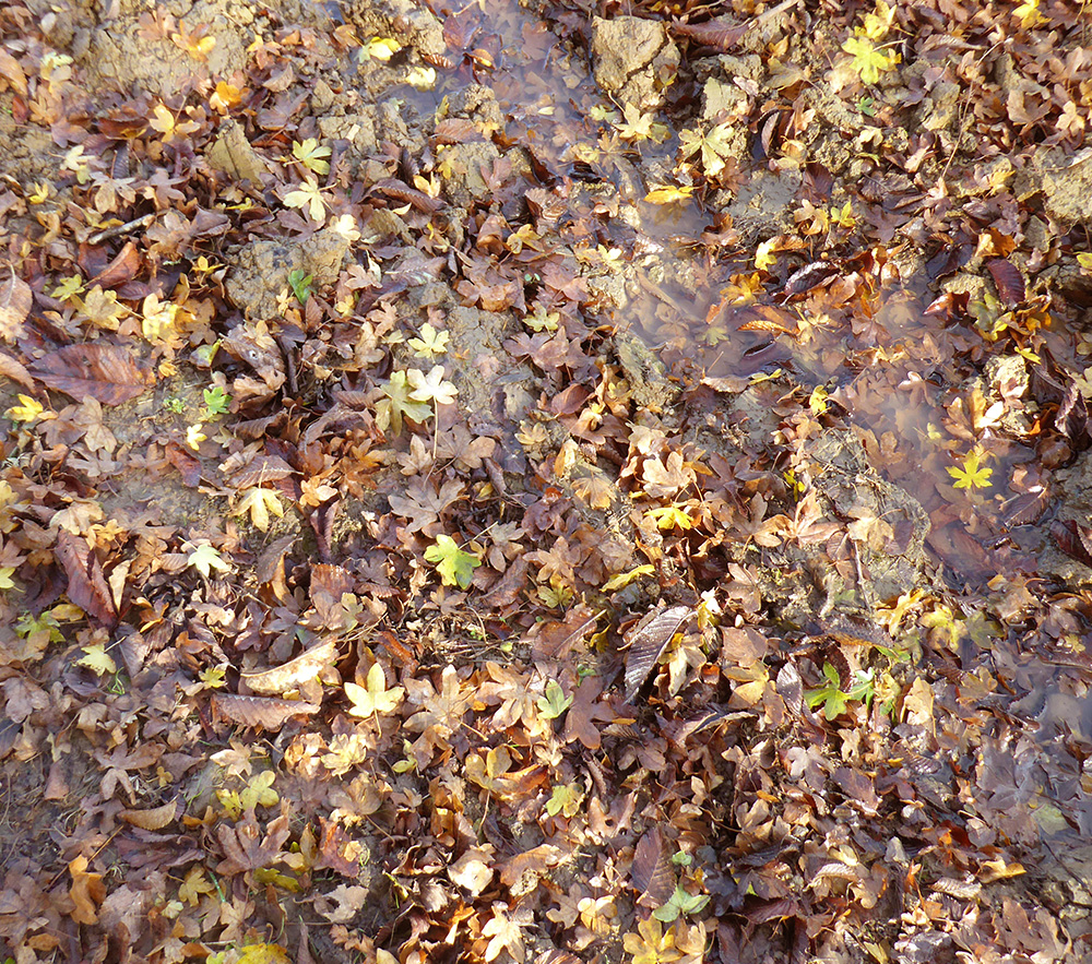 Within-5-Miles-of-Bath