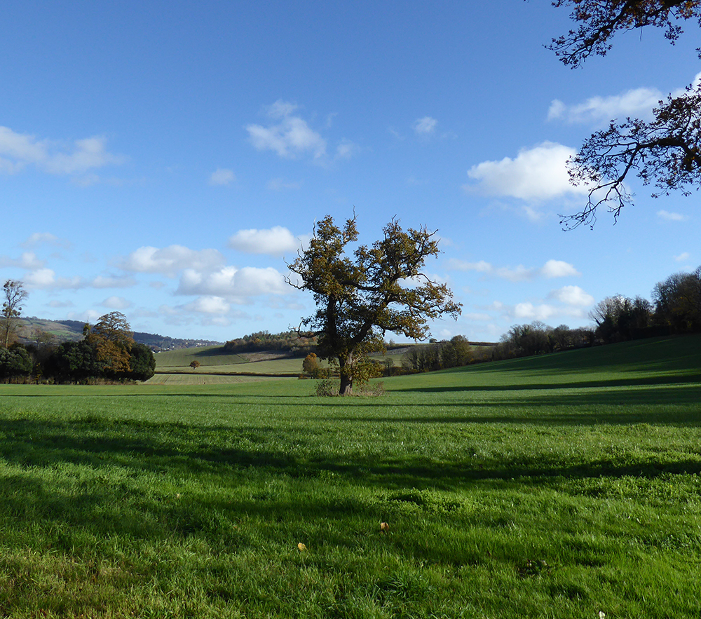 Within-1-Mile-of-Bath