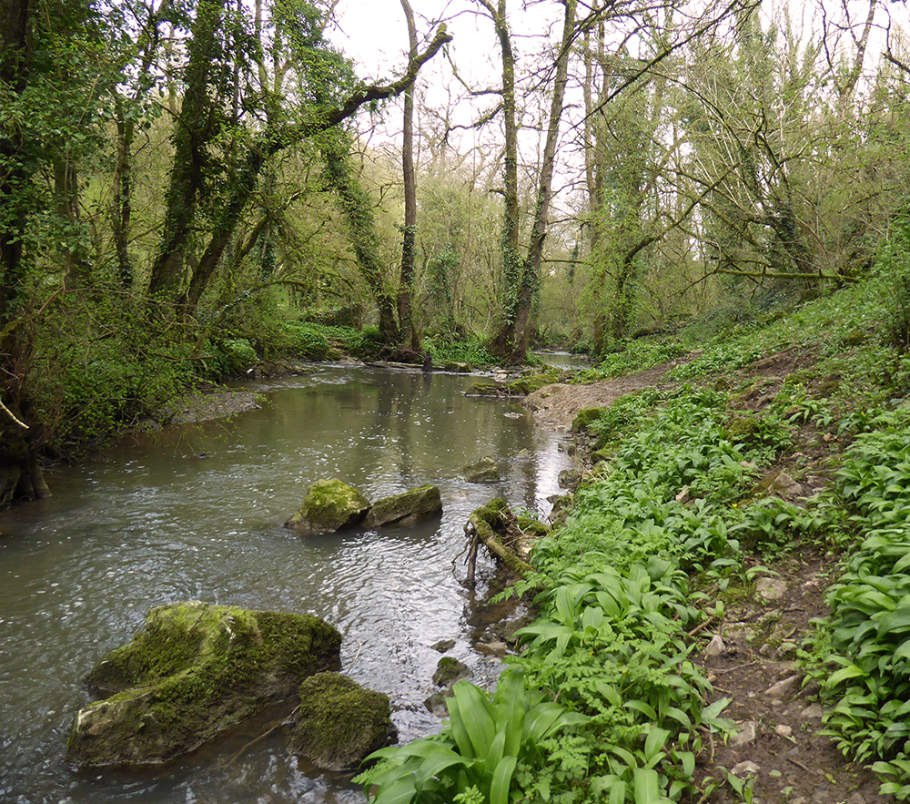 Within-20-Miles-of-Bath