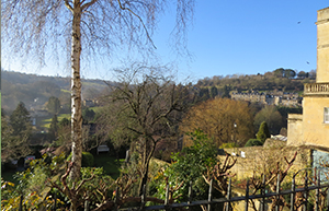 view